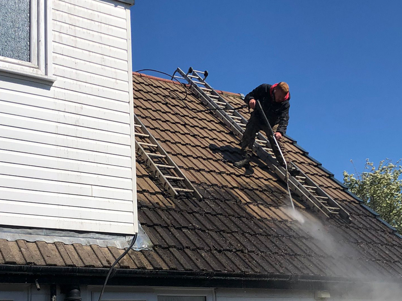 roof moss removal